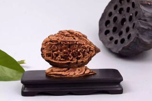山東工藝美術(shù)學(xué)院研培學(xué)員創(chuàng)新產(chǎn)品設(shè)計大獎賽喜獲佳績，彰顯收藏品鑒定評估服務(wù)價值